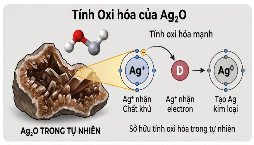 Ag2O trong tự nhiên sở hữu tính oxi hóa