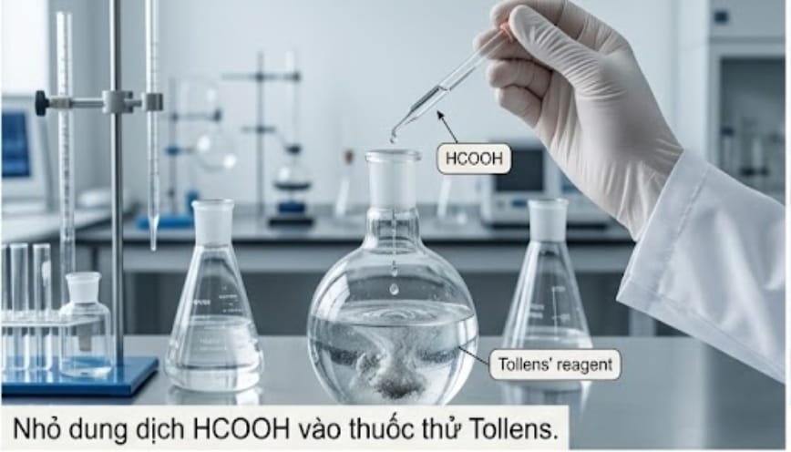 Nhỏ dung dịch HCOOH vào hỗn hợp thuốc thử Tollens