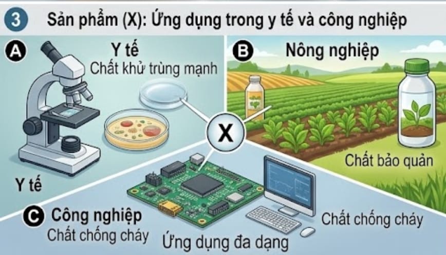 Sản phẩm tạo thành từ quá trình HCOOH tác dụng với Br2