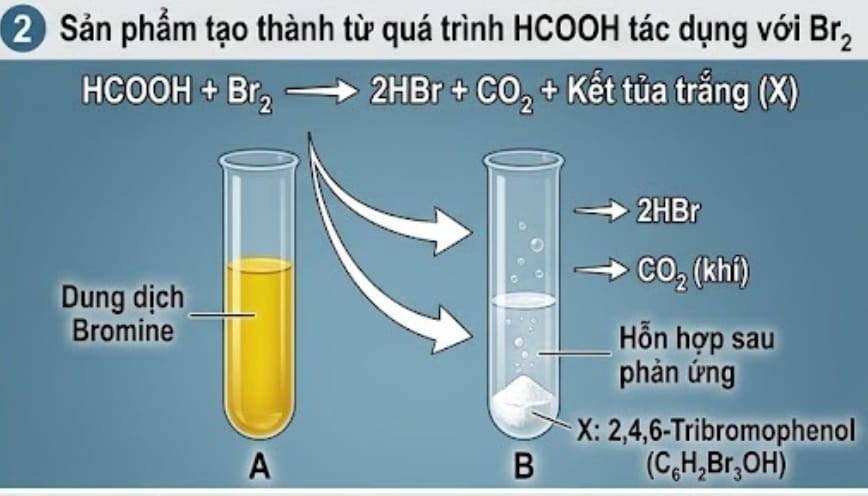 Xuất hiện hiện tượng kết tủa màu trắng trong dung dịch